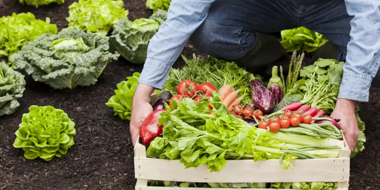 Gratis fragt ✔ • Ingen gebyrer ✔ • Mængderabat ✔
