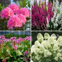 Surbundsbed > Planter