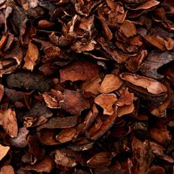 Cocoa Mulch (2000 liters)