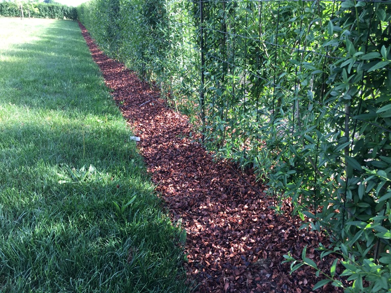 Cocoa Mulch (3000 liters)