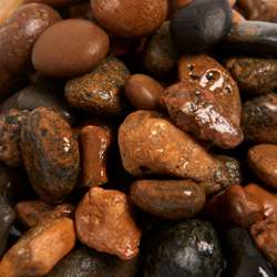 Sø-nødder 16-32 mm.