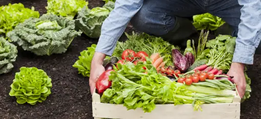 Gratis fragt ✔ • Ingen gebyrer ✔ • Mængderabat ✔