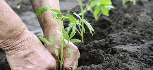 Gratis fragt ✔ • Ingen gebyrer ✔ • Mængderabat ✔