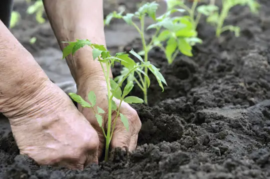 Muldjord (2000 liter)