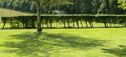 Gratis fragt ✔ • Ingen gebyrer ✔ • Mængderabat ✔